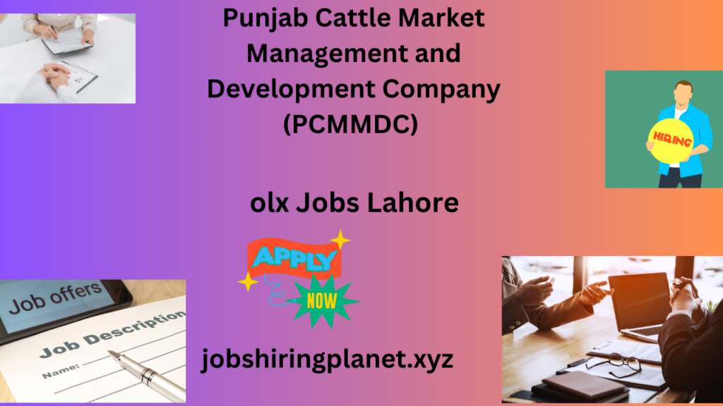 olx jobs lahore