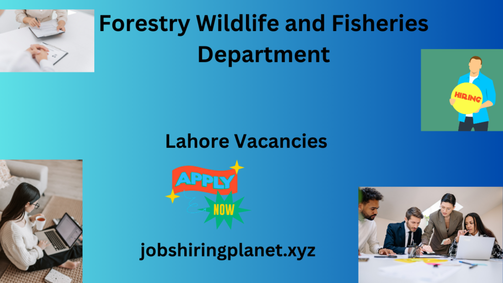 Lahore Vacancies