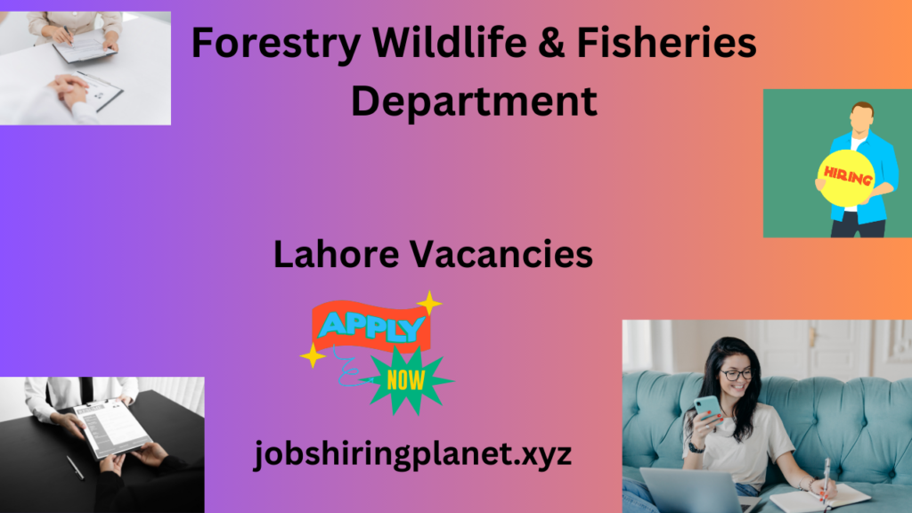 Lahore Vacancies