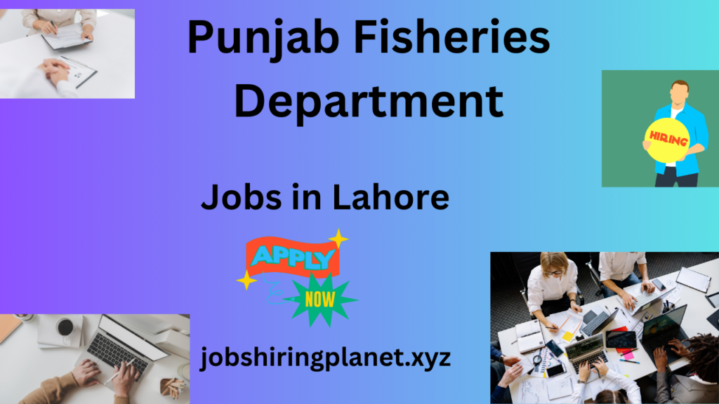 Jobs in Lahore